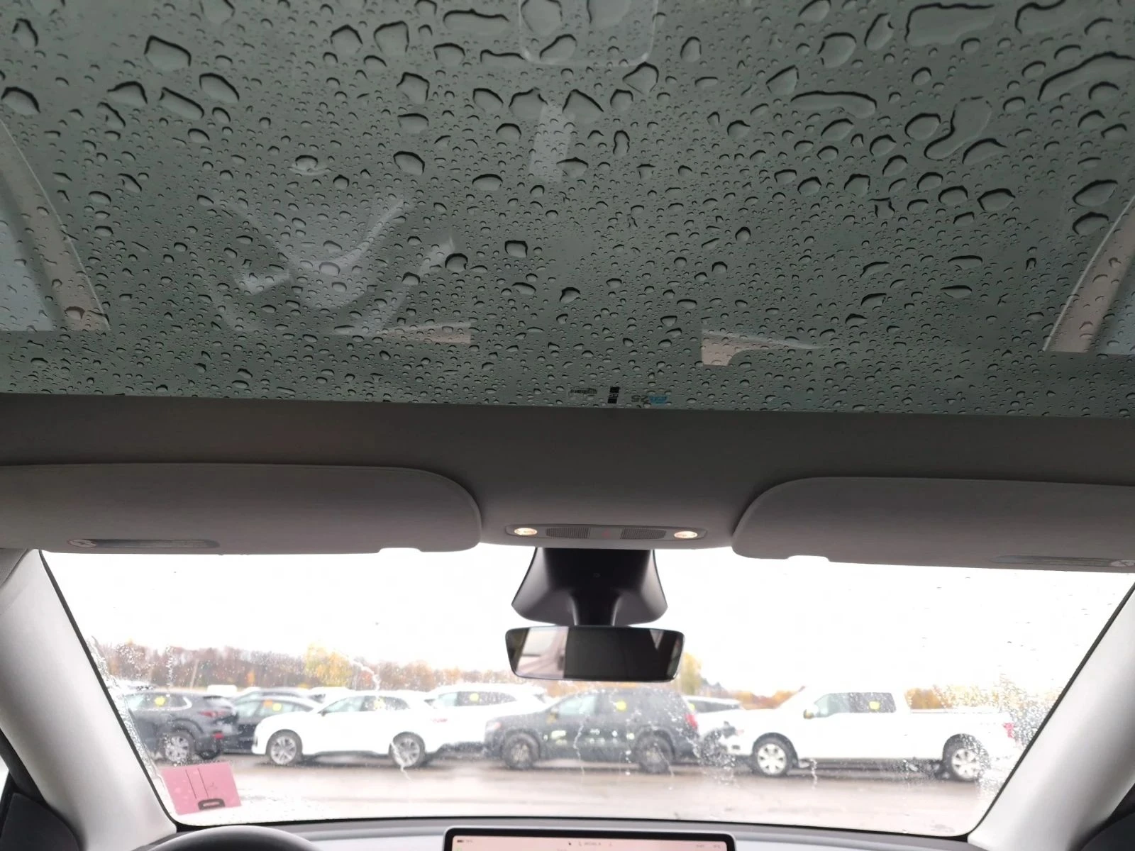 Tesla Model Y, снимка 12 - Автомобили и джипове - 56716945