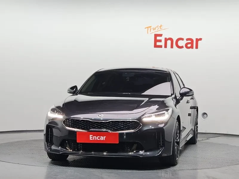 Kia Stinger 2.2 Diesel 2Wd Platinum, снимка 3 - Автомобили и джипове - 55900017
