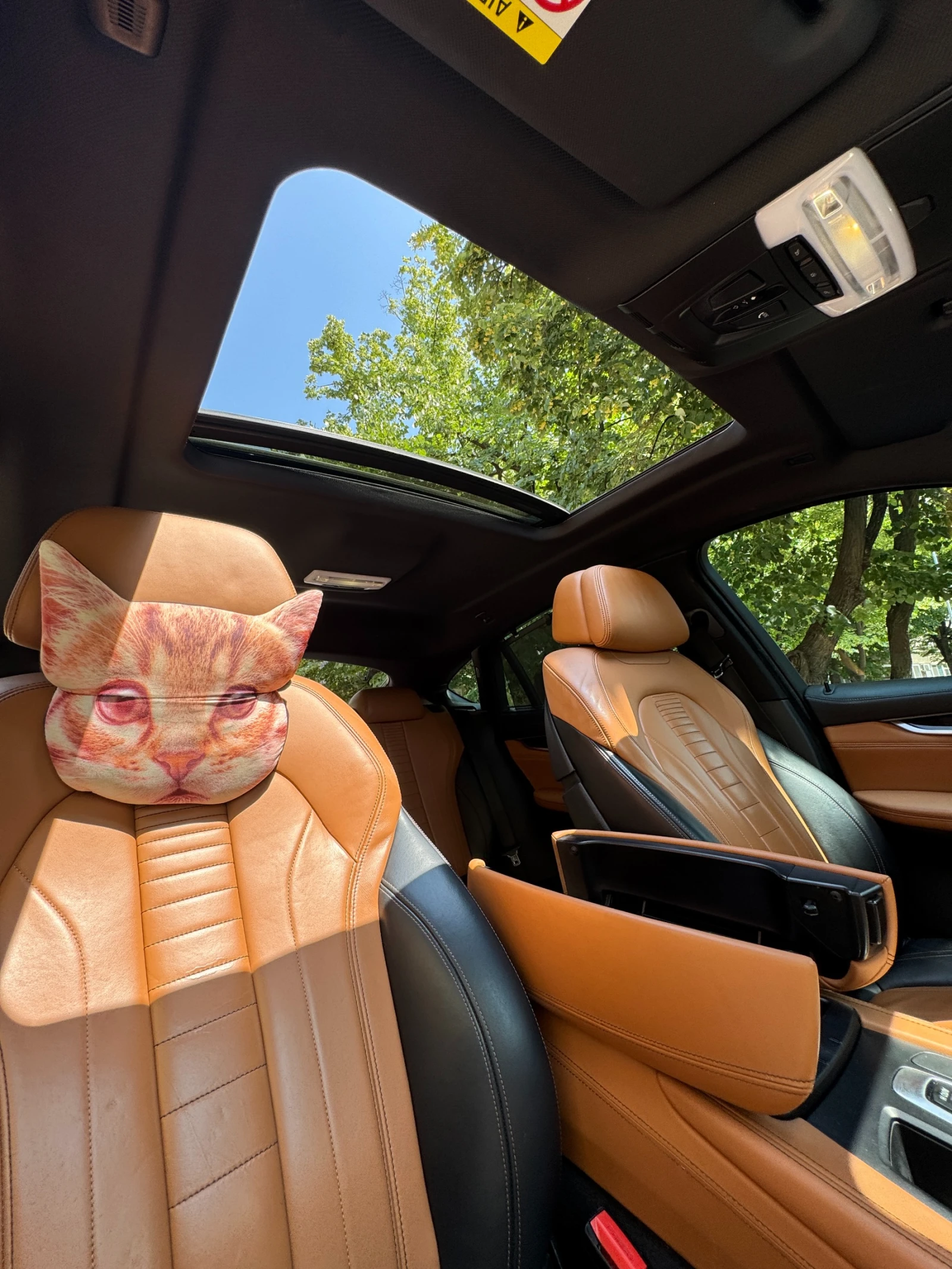 BMW X6  - изображение 10