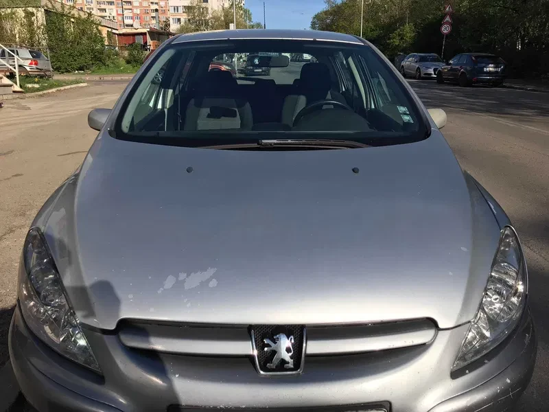 Peugeot 307, снимка 3 - Автомобили и джипове - 48831657