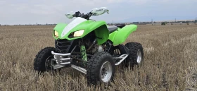 Kawasaki Kfx  - изображение 1