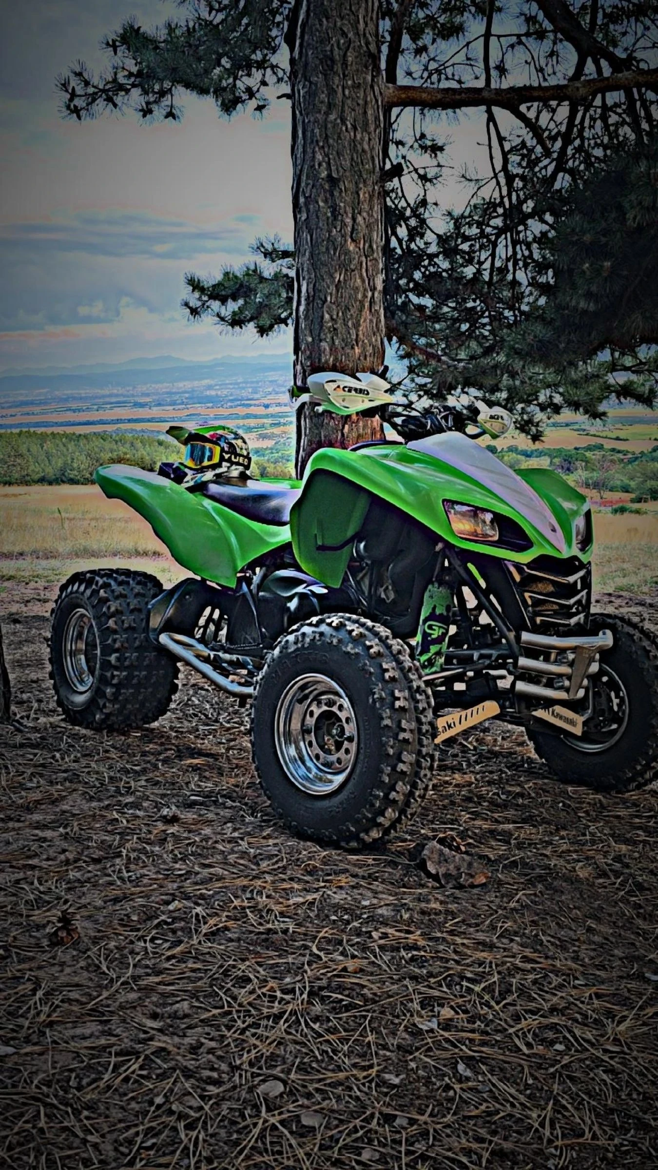 Kawasaki Kfx  - изображение 6