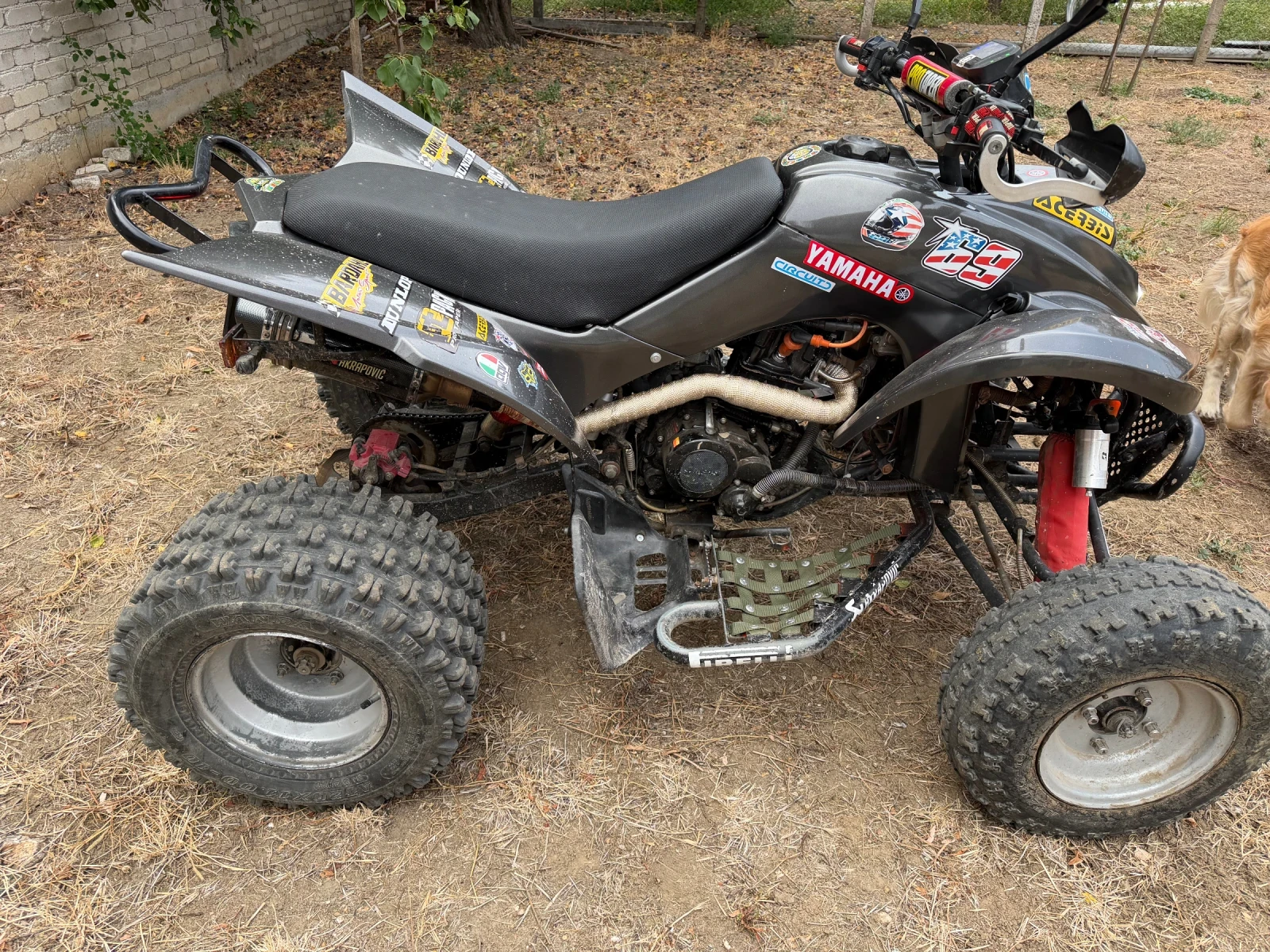 Shineray XY 250 st-9e