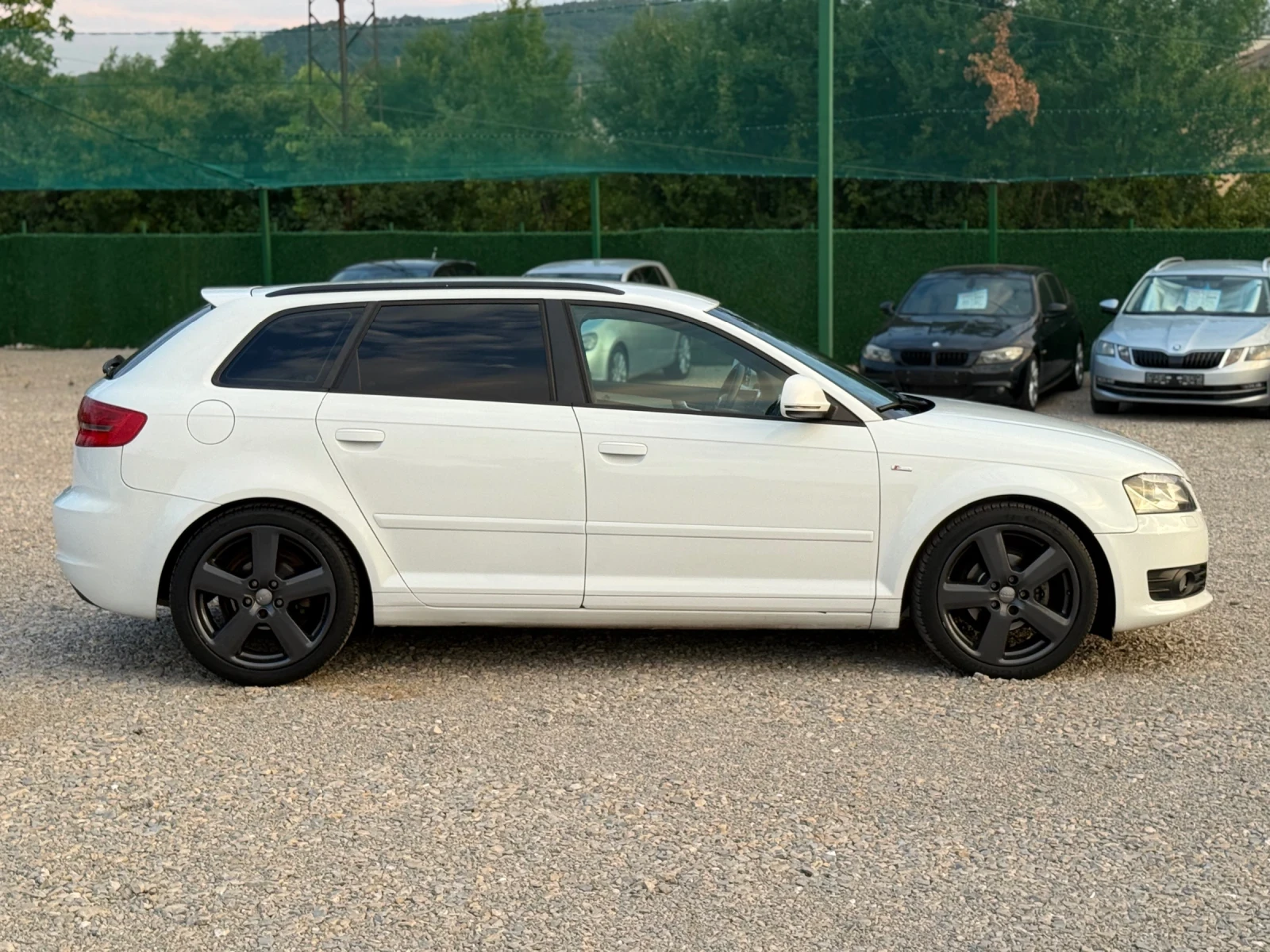 Audi A3 1.9TDI помпа-дюза - изображение 8
