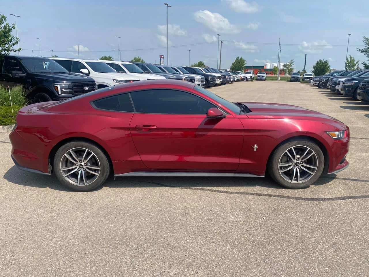 Ford Mustang * EcoBoost * АВТОКРЕДИТ БЕЗ ПЪРВОНАЧАЛНА ВНОСКА* , снимка 3 - Автомобили и джипове - 55146437