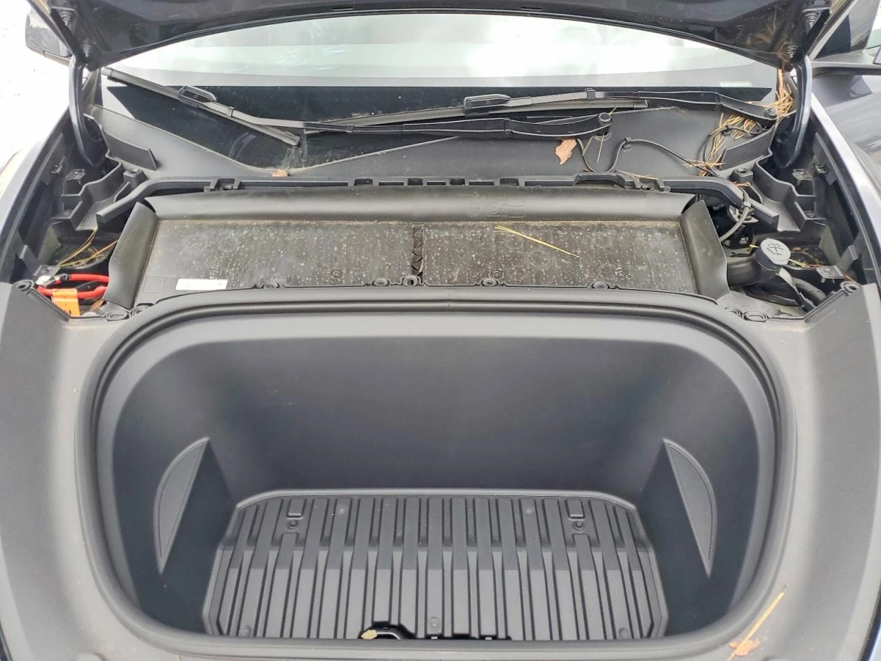Tesla Model Y | Mobile.bg � ����������� 11