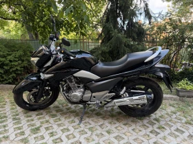 ����� �� �������� �� Suzuki Inazuma