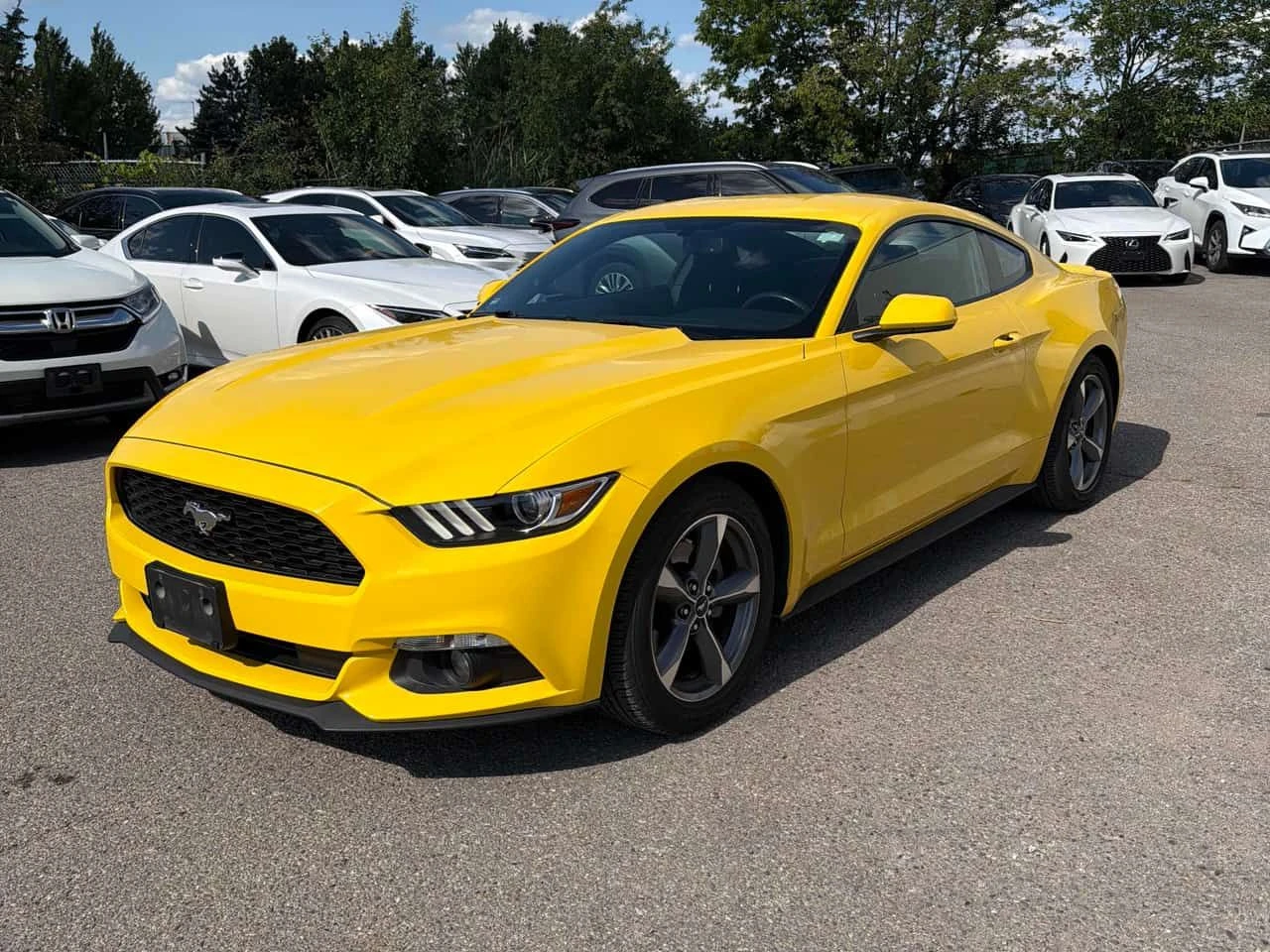 Ford Mustang * V6 * CARFAX * БЕЗ ПЪРВОНАЧАЛНА ВНОСКА