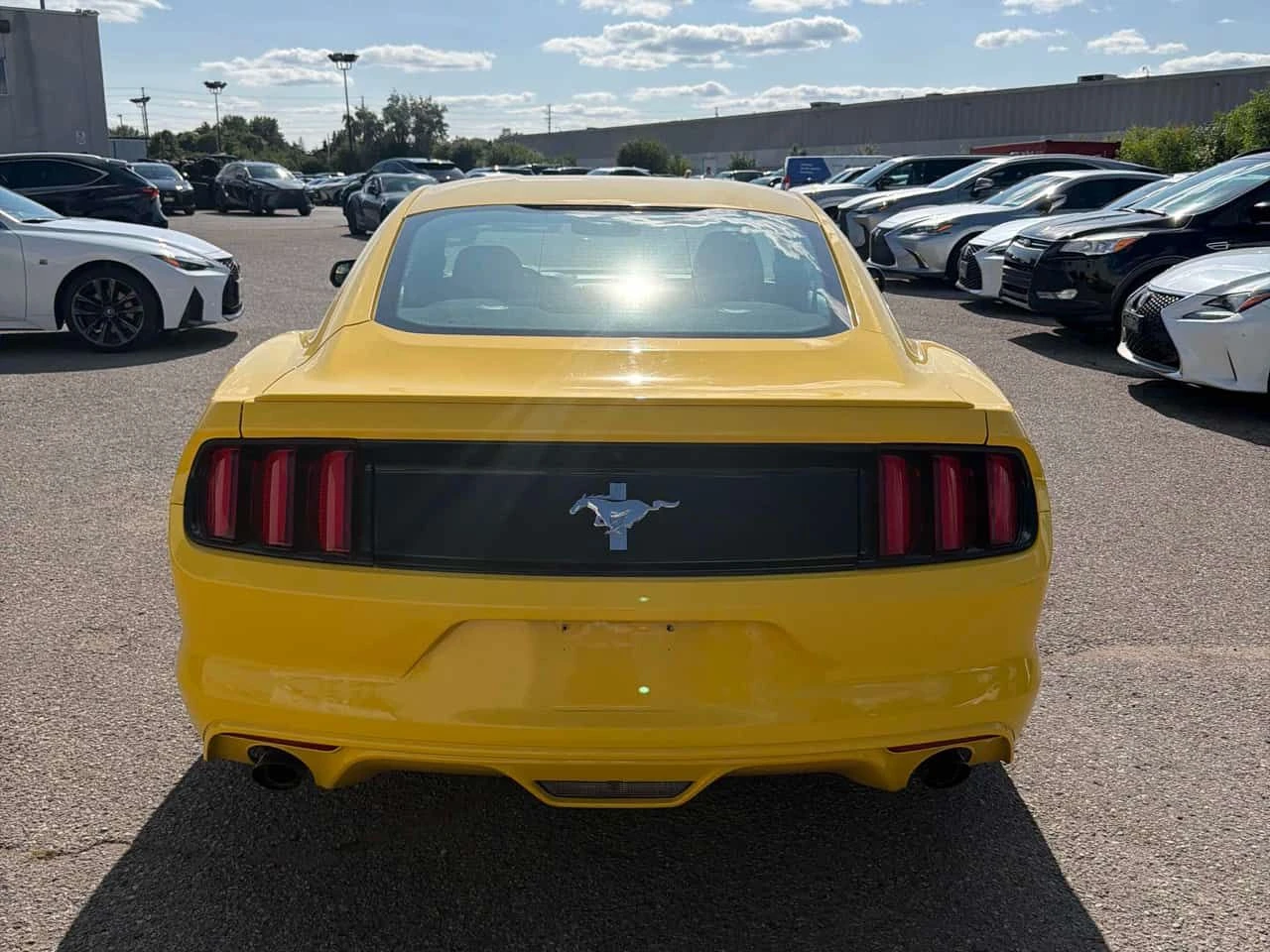Ford Mustang * V6 * CARFAX * БЕЗ ПЪРВОНАЧАЛНА ВНОСКА, снимка 4 - Автомобили и джипове - 55408417