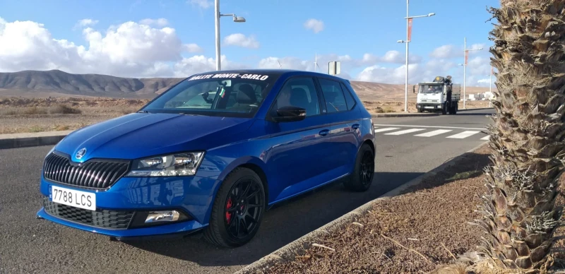 Skoda Fabia Монтекарло