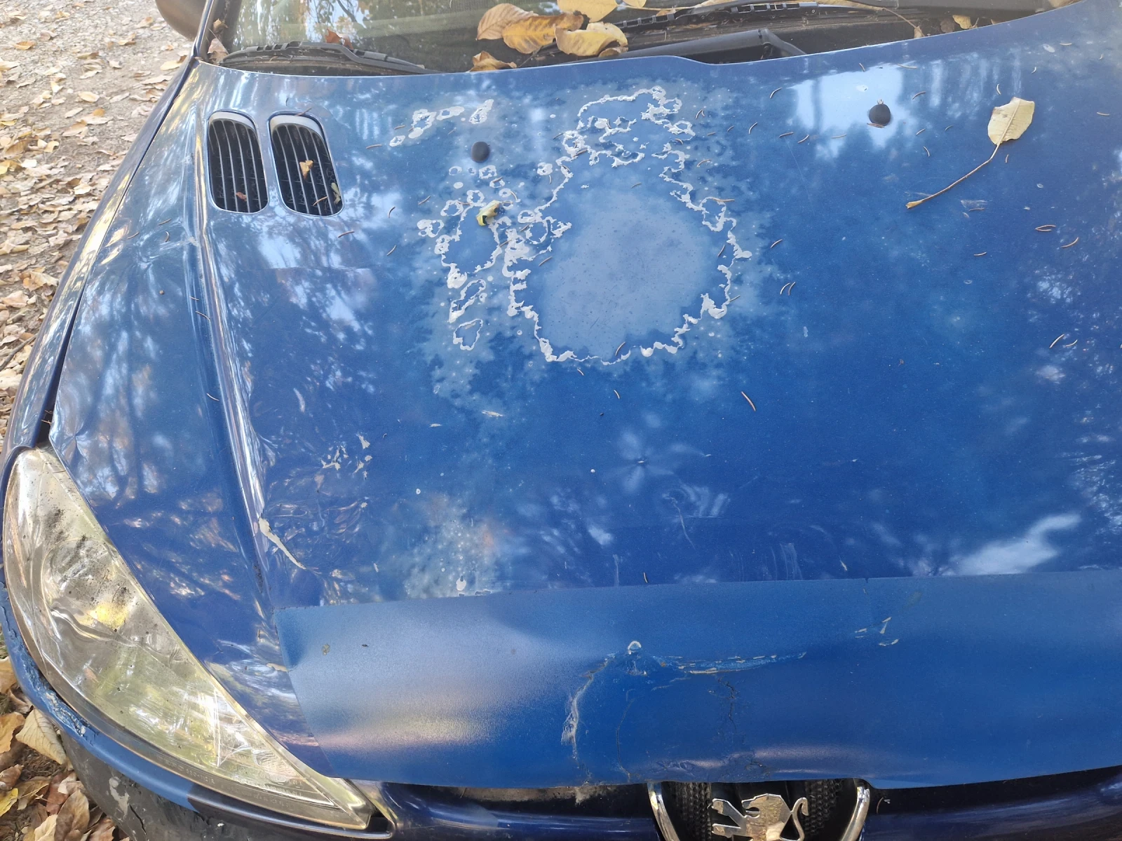 Peugeot 206 SW, снимка 1