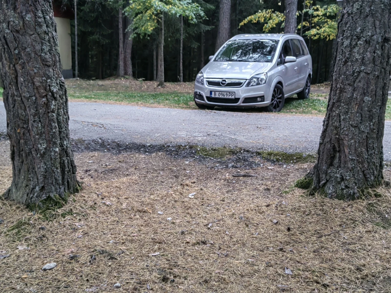 Opel Zafira, снимка 5 - Автомобили и джипове - 53872225