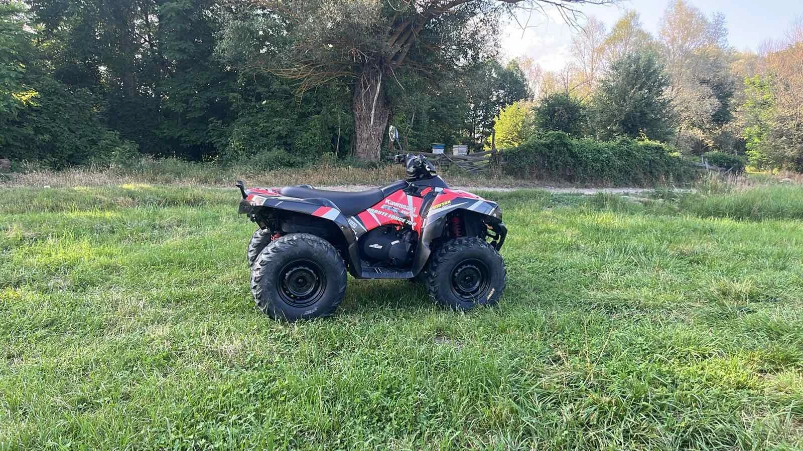 Kawasaki Brute Force