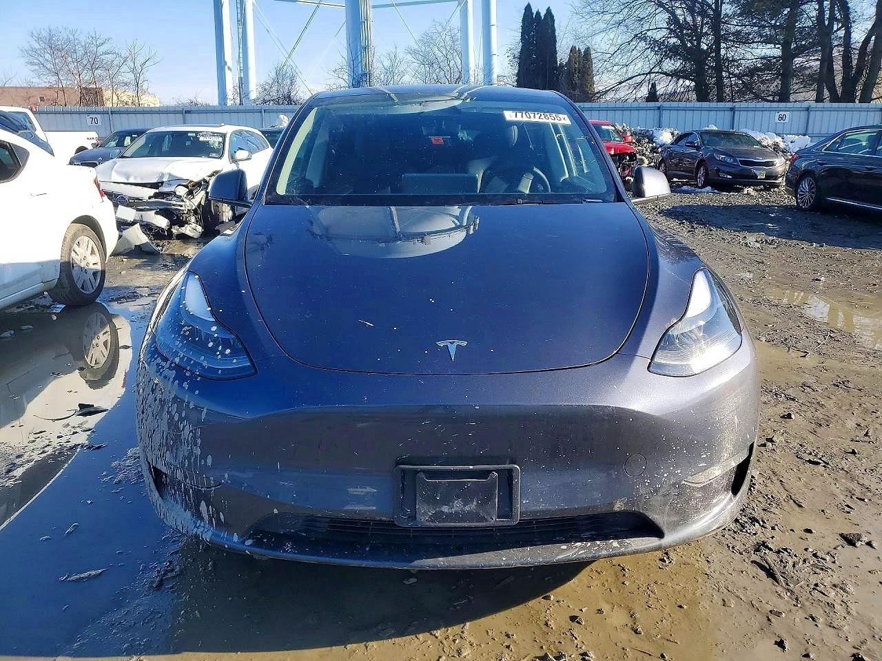 Tesla Model Y, снимка 6 - Автомобили и джипове - 53916762