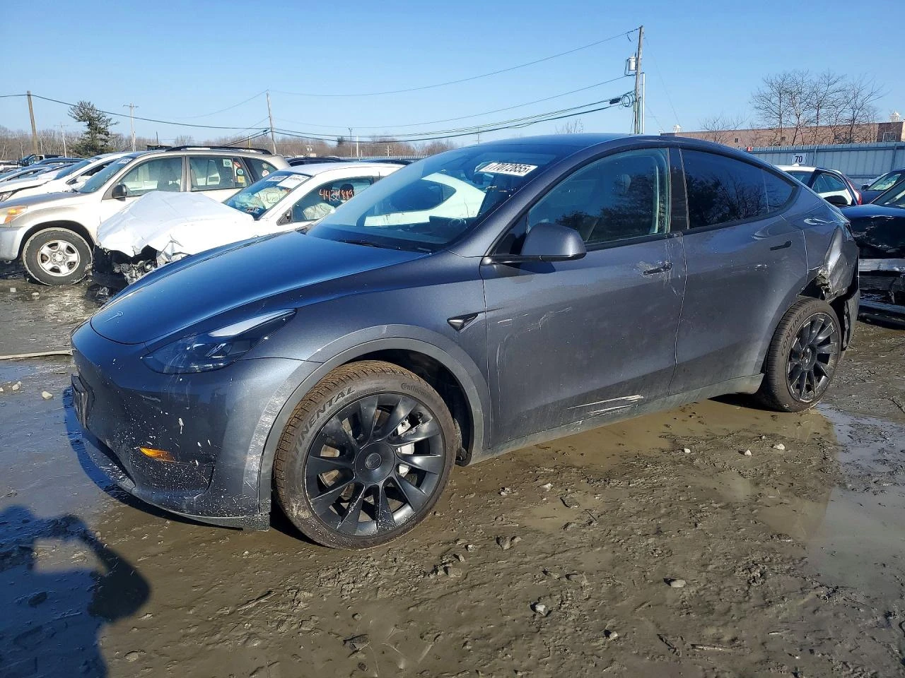 Tesla Model Y undefined | Auto.bg — изображение 1
