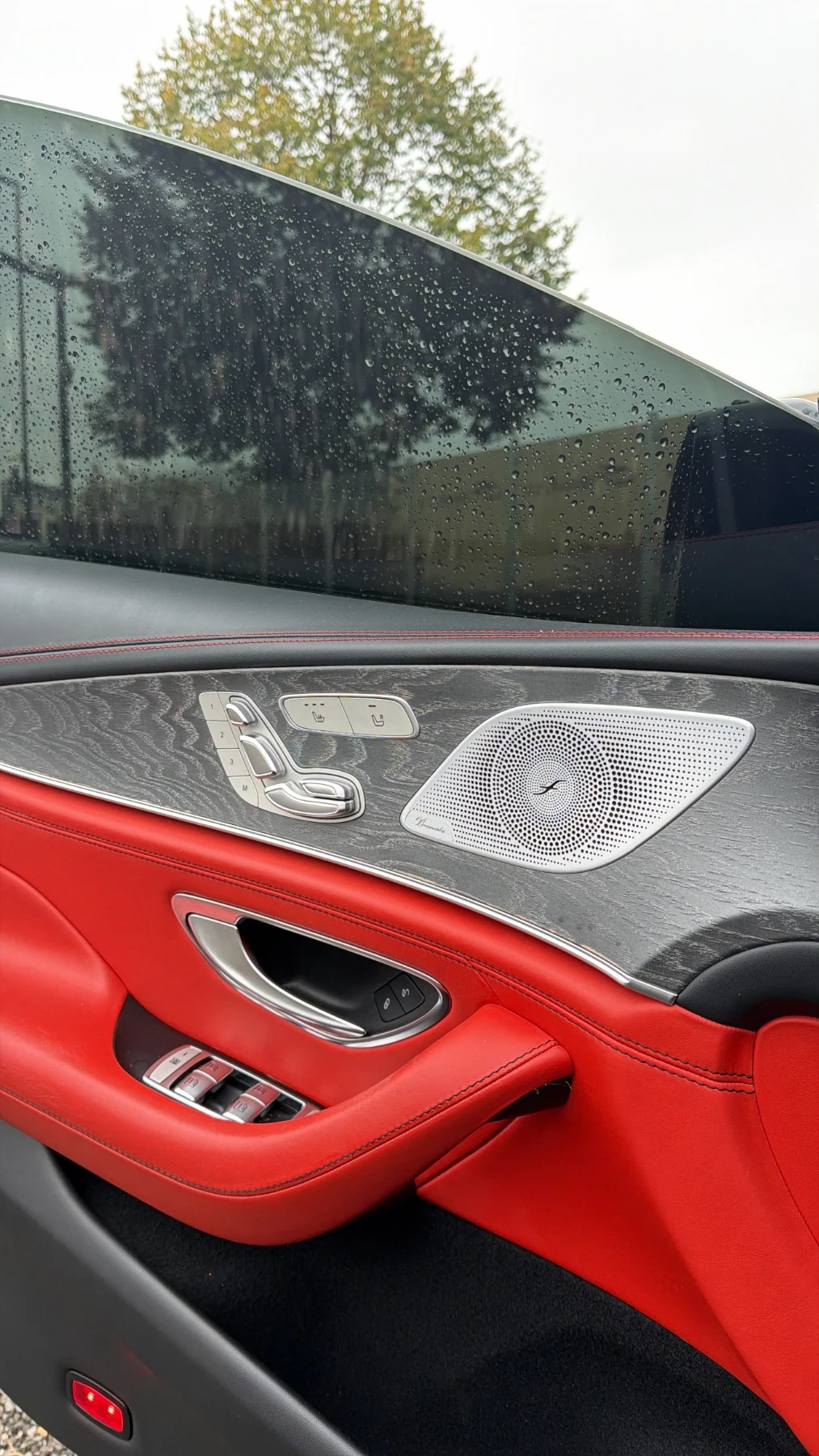 Mercedes-Benz AMG GT 5.3 AMG Full Carbon | Mobile.bg � ����������� 10