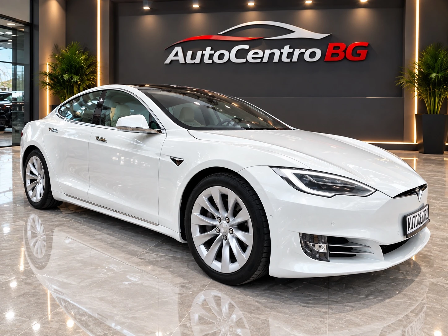 Tesla Model S 90D Панорама 4х4 Обдухване
