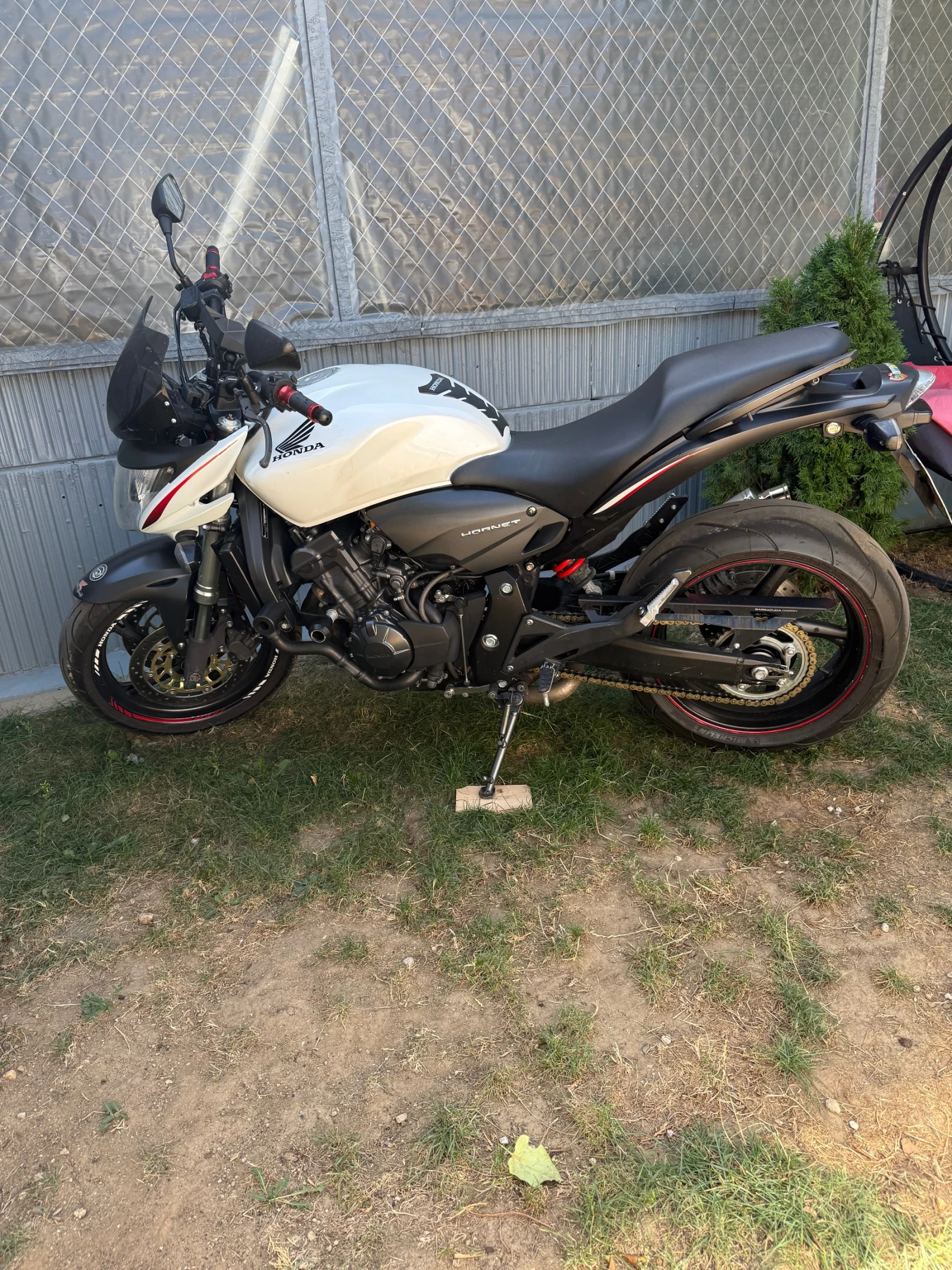 Honda Hornet  - изображение 3