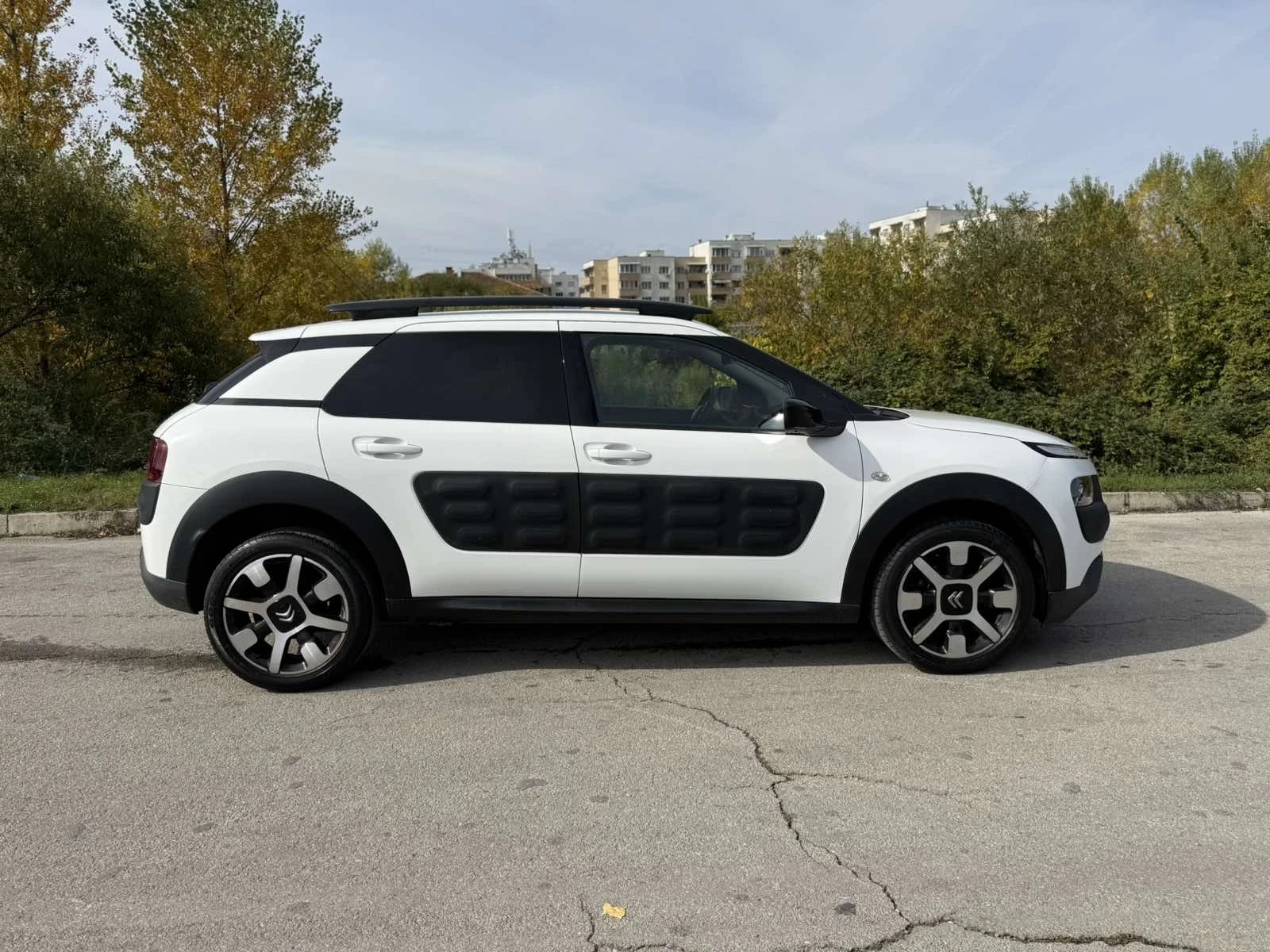 Citroen C4 Cactus  - изображение 4