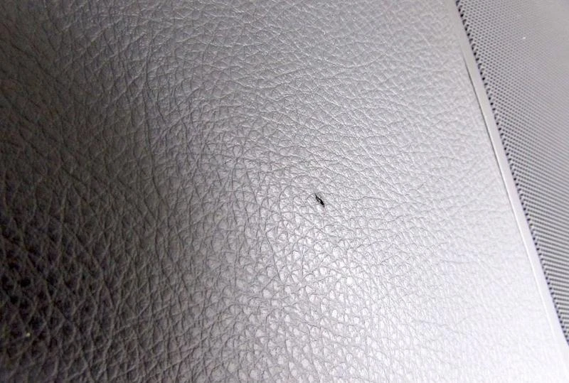   ,   BMW 5GT | Mobile.bg   2