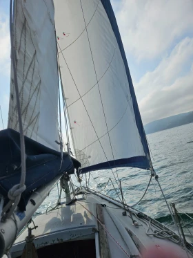 Ветроходна лодка Petterson   25 T, снимка 5