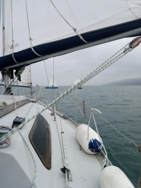 Ветроходна лодка Petterson   25 T, снимка 3