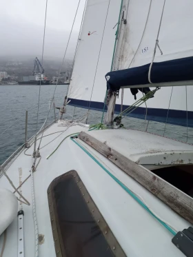 Ветроходна лодка Petterson   25 T, снимка 4