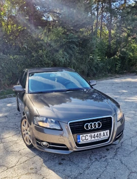 Audi A3 1.6tdi, снимка 1