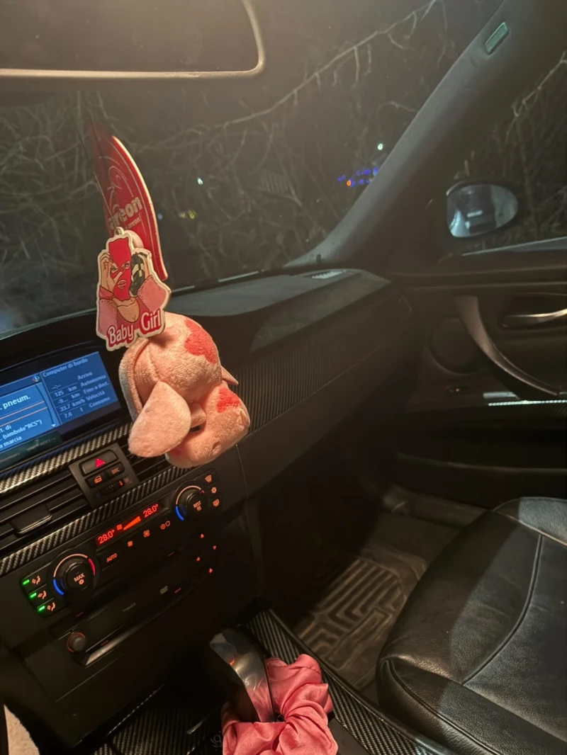 BMW 320, снимка 6 - Автомобили и джипове - 53132792