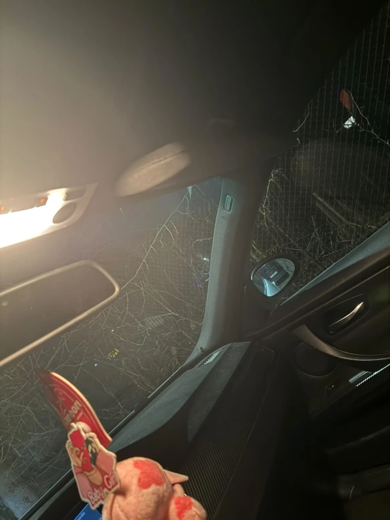 BMW 320, снимка 8 - Автомобили и джипове - 53132792