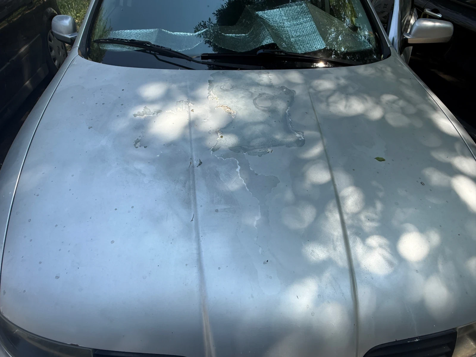 Seat Leon, снимка 5 - Автомобили и джипове - 55612306