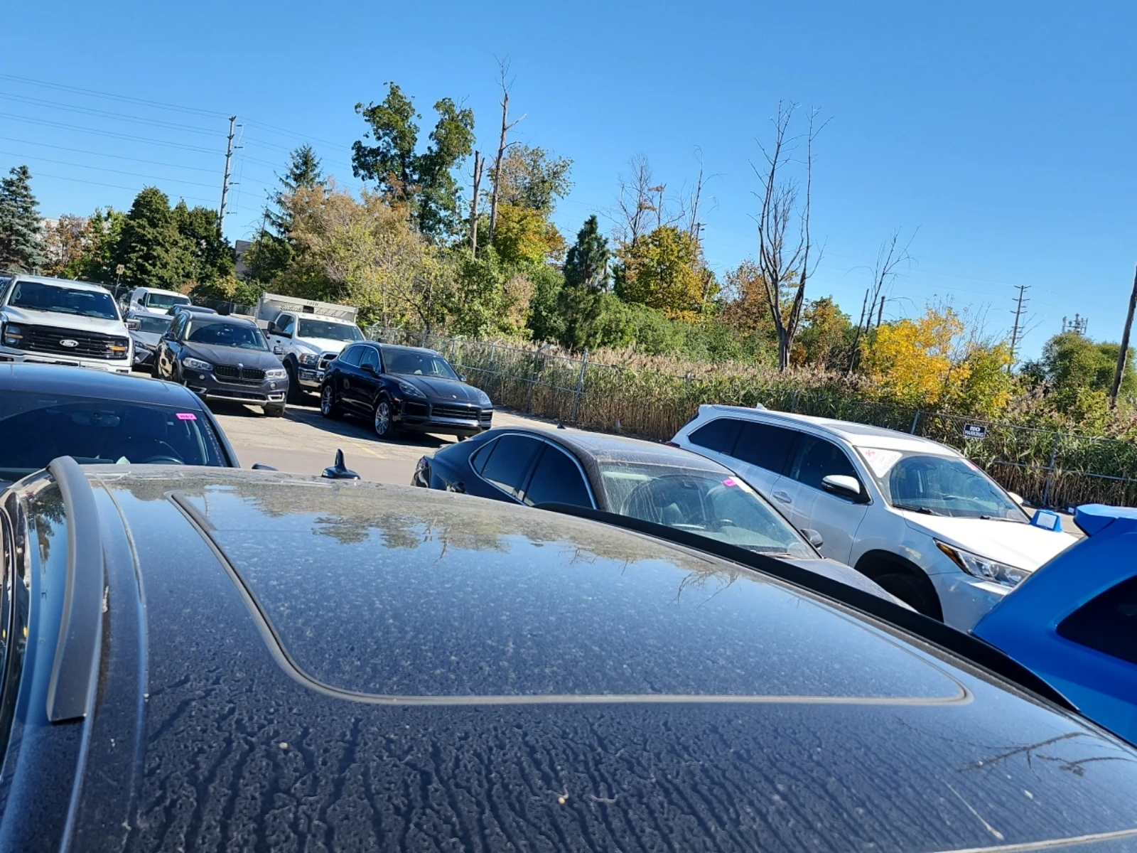 Audi SQ8 4.0 TFSI QUATTRO | Mobile.bg � ����������� 6