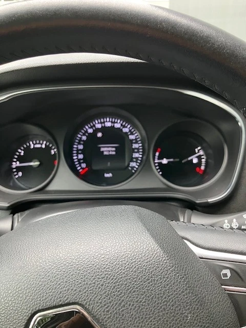 Renault Megane, снимка 4 - Автомобили и джипове - 56303758
