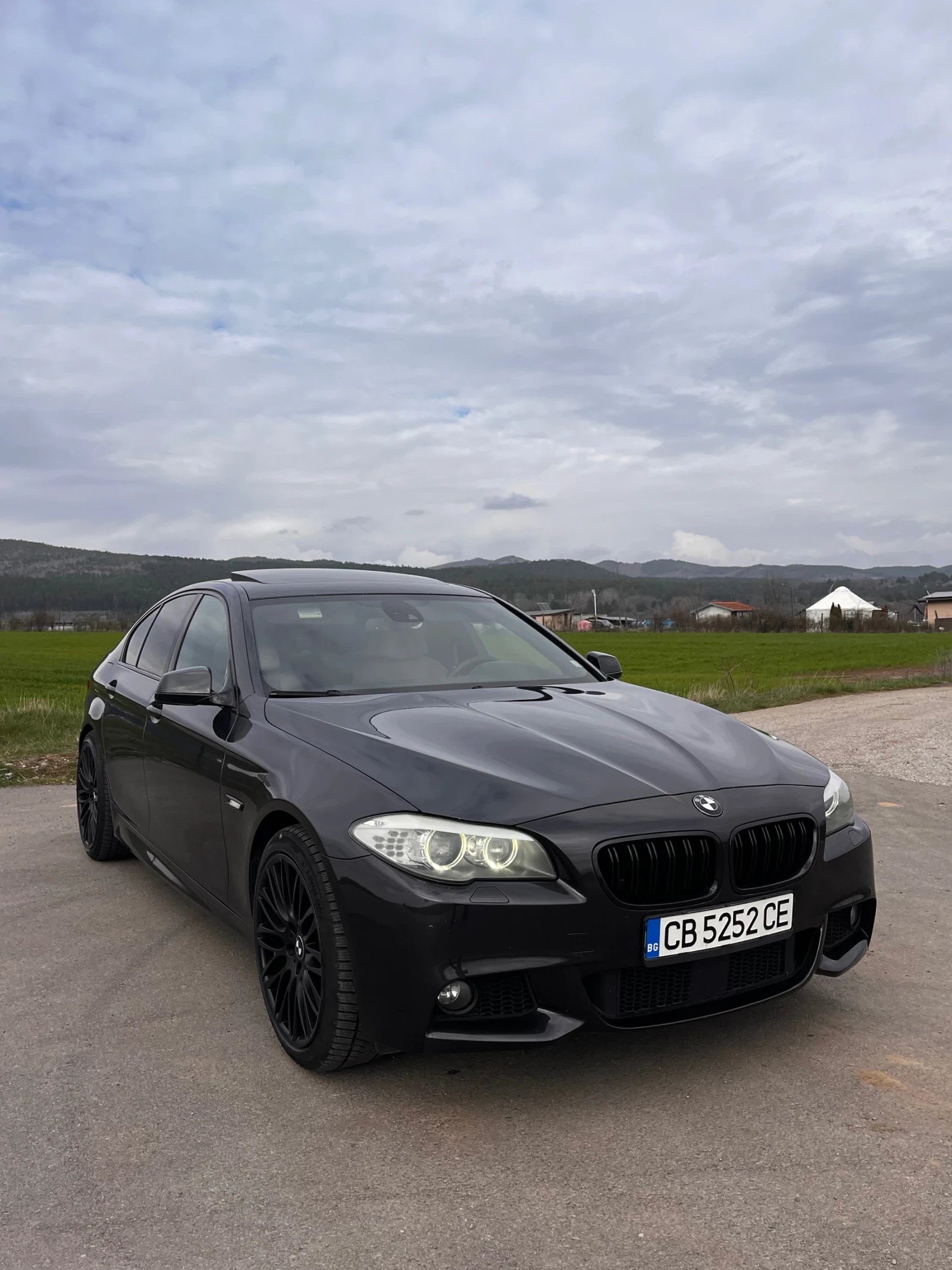 BMW 525 3.0 дизел, снимка 2 - Автомобили и джипове - 54044399