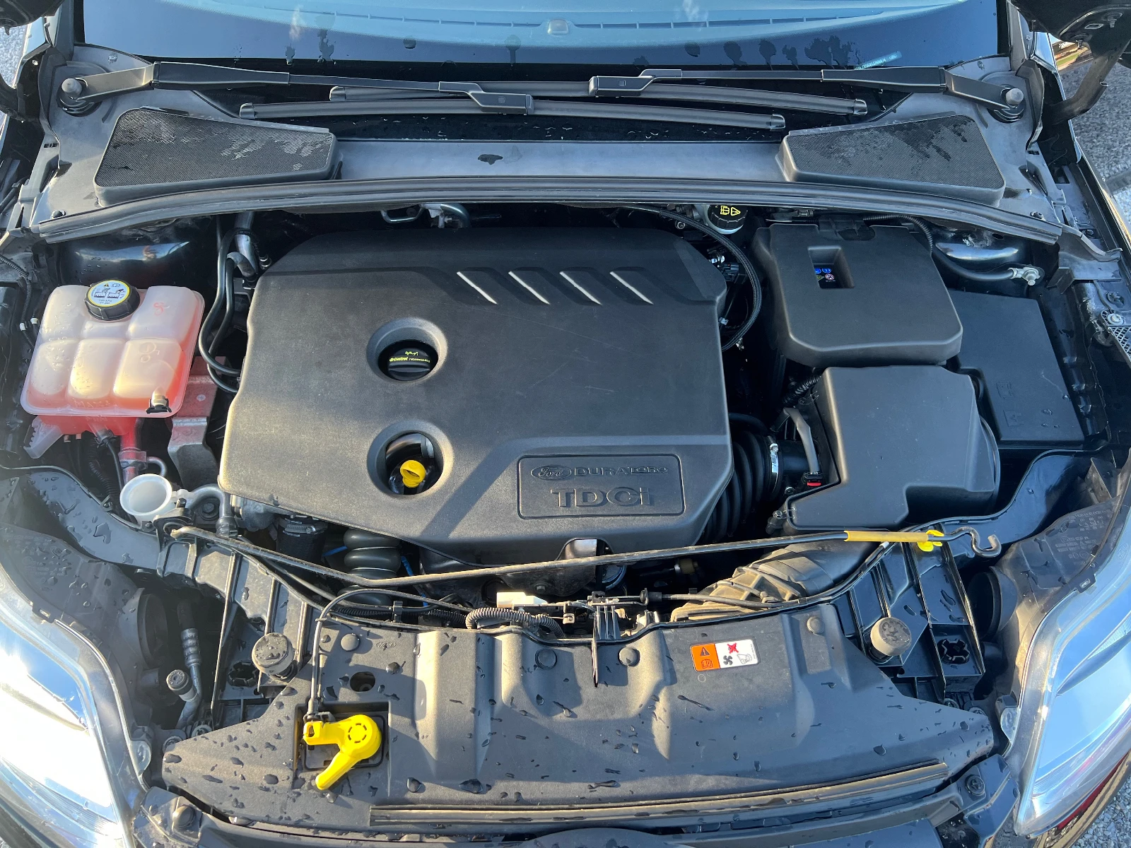 Ford Focus 1.6tdci | Mobile.bg — изображение 14