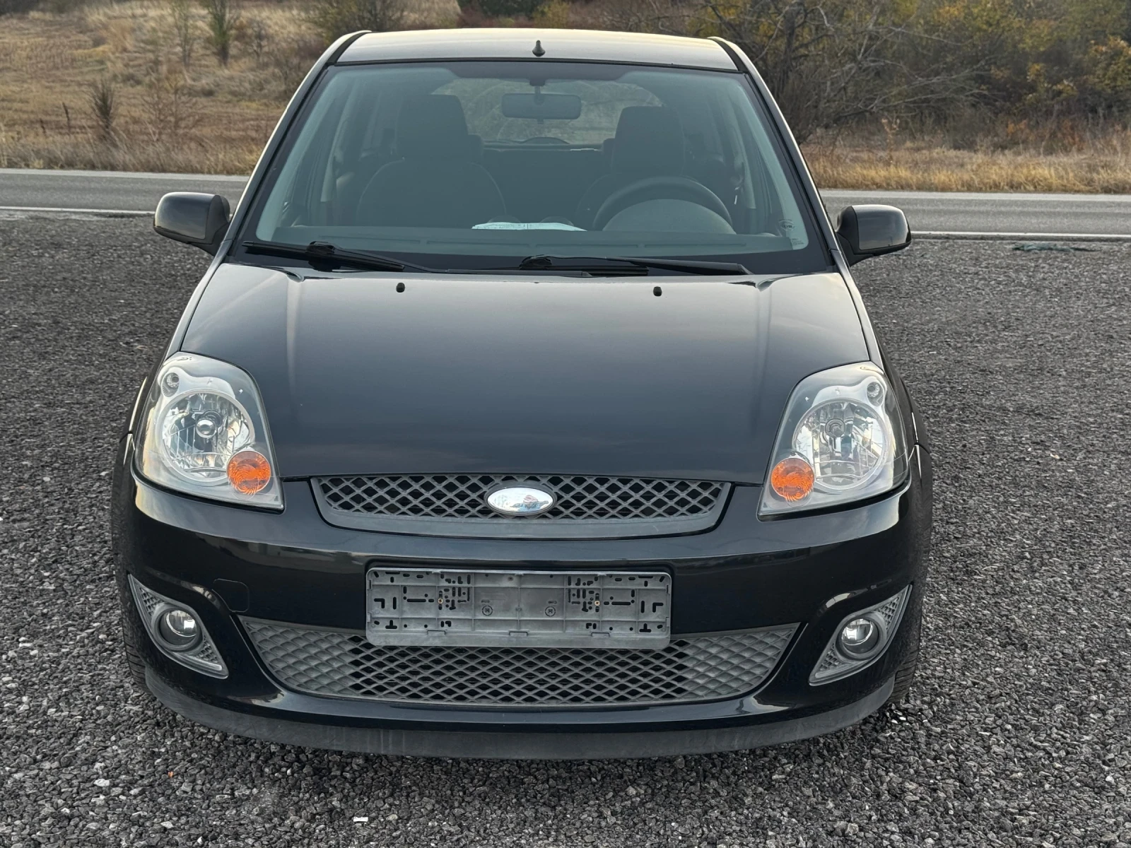 Ford Fiesta 1.4TDCI, снимка 2 - Автомобили и джипове - 46356276
