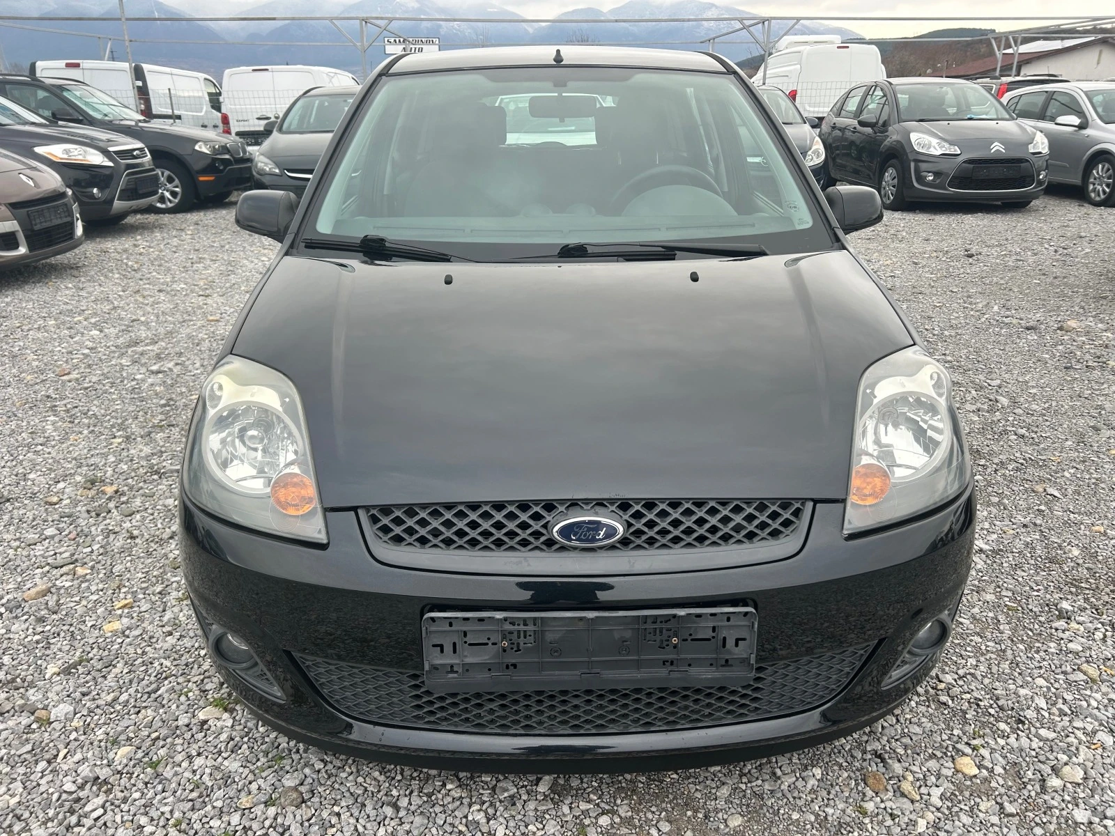 Ford Fiesta 1.4TDCI - изображение 7