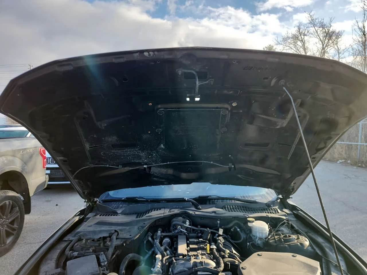 Ford Mustang * ECOBOOST PREMIUM * CARFAX * ЦЕНА ДО БГ, снимка 15 - Автомобили и джипове - 53997801