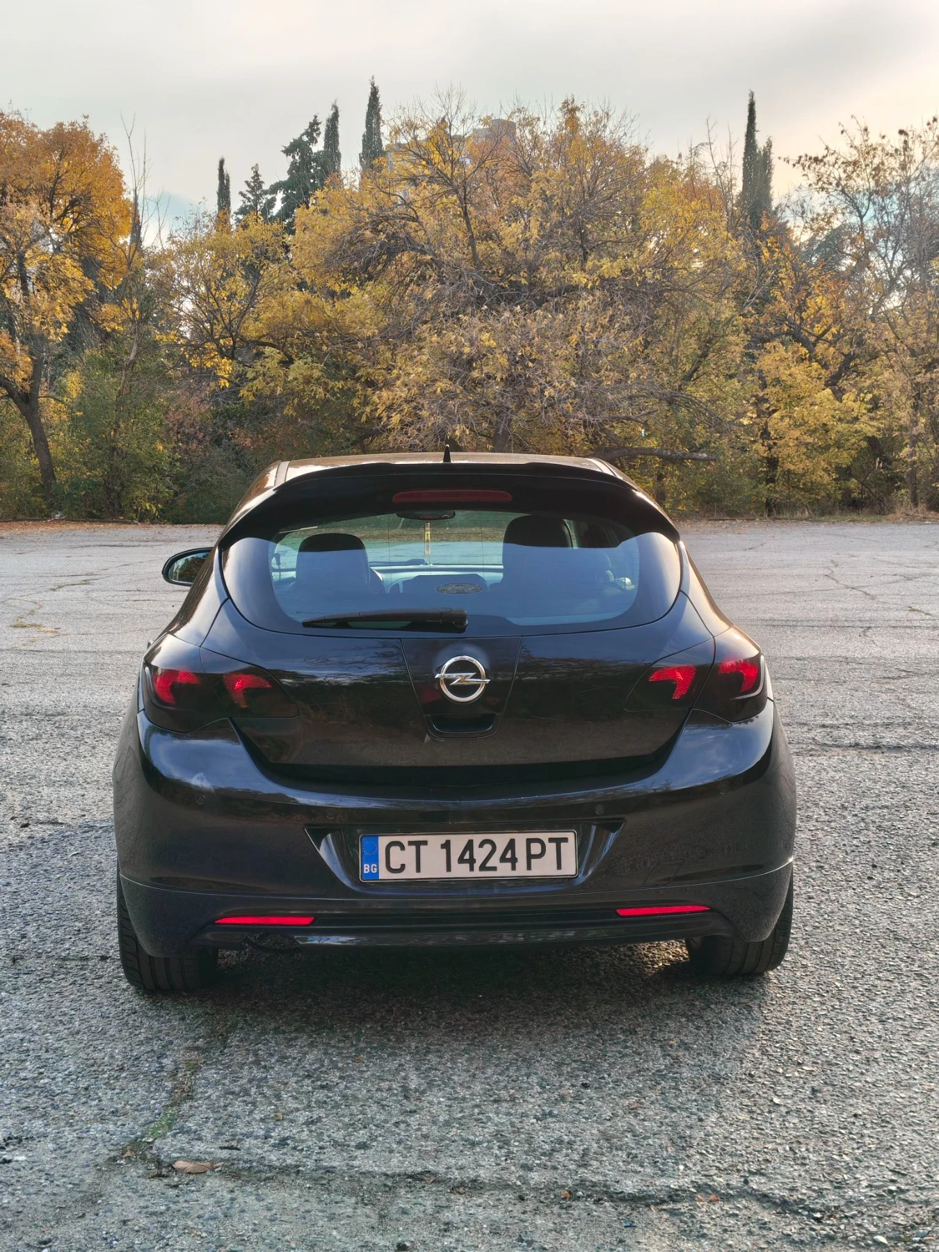 Opel Astra 1.7cdti OPC Line , снимка 6 - Автомобили и джипове - 56647945