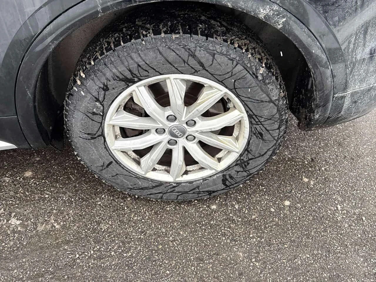 Audi Q5 Komfort * ПОДГРЕВ * ВТОРИ ГУМИ + ДЖАНТИ * , снимка 5 - Автомобили и джипове - 53715541