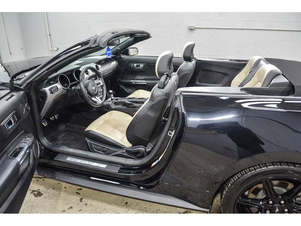 Ford Mustang GT 5.0L - изображение 5