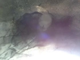 Гуми, снимка 10