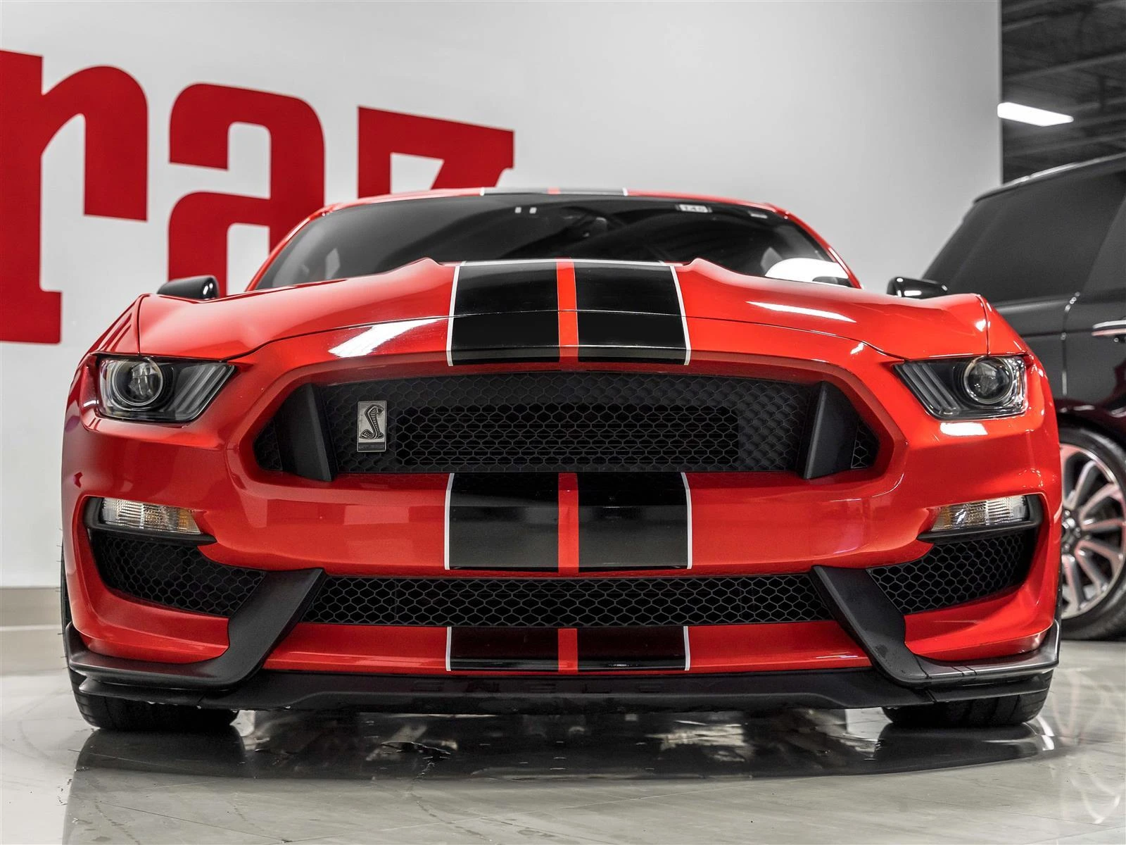 Ford Mustang  SHELBY GT350 CARFAX АВТО КРЕДИТ  - изображение 3