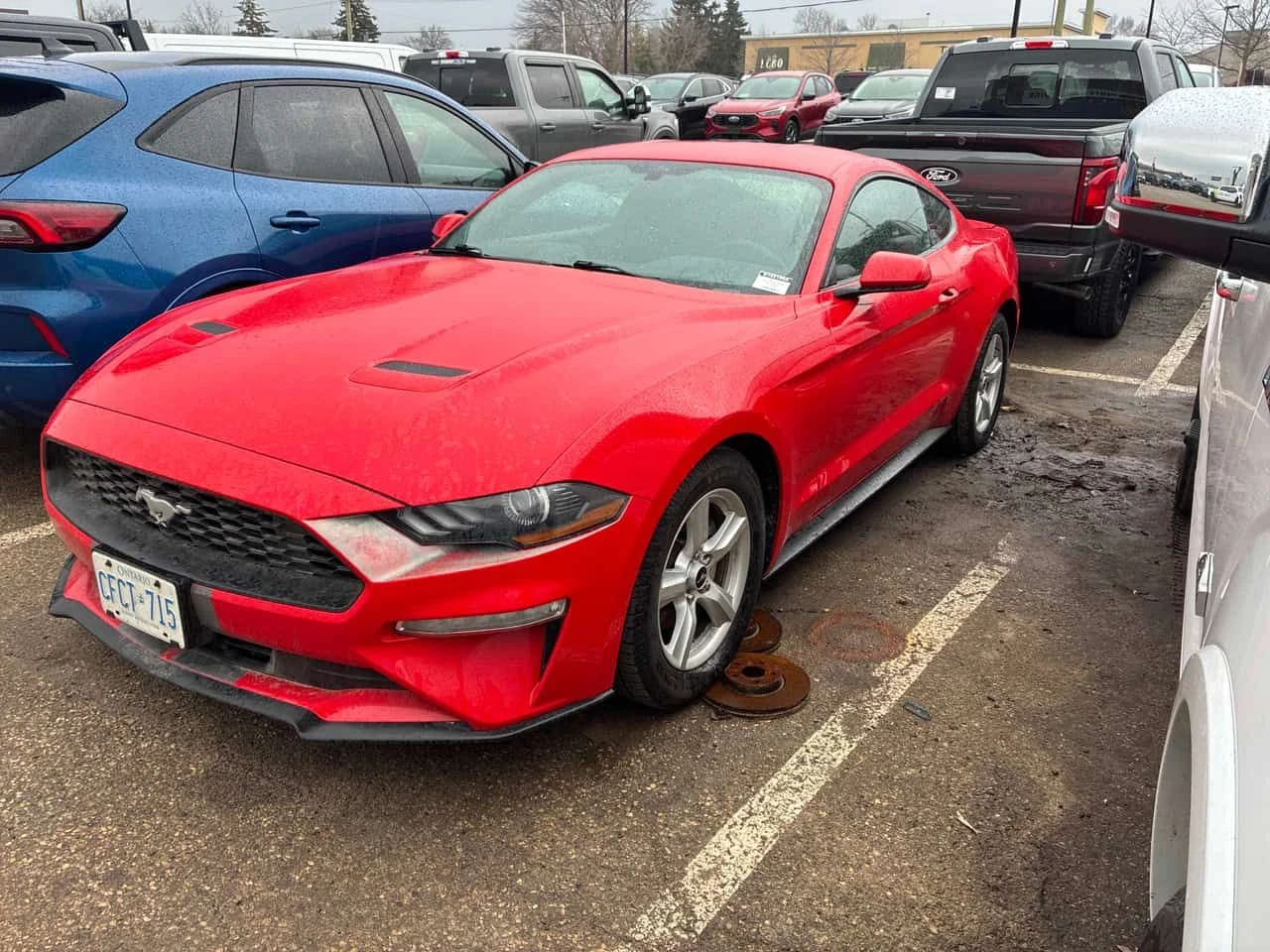 Ford Mustang * EcoBoost * KEYLESS*  | Mobile.bg � ����������� 2