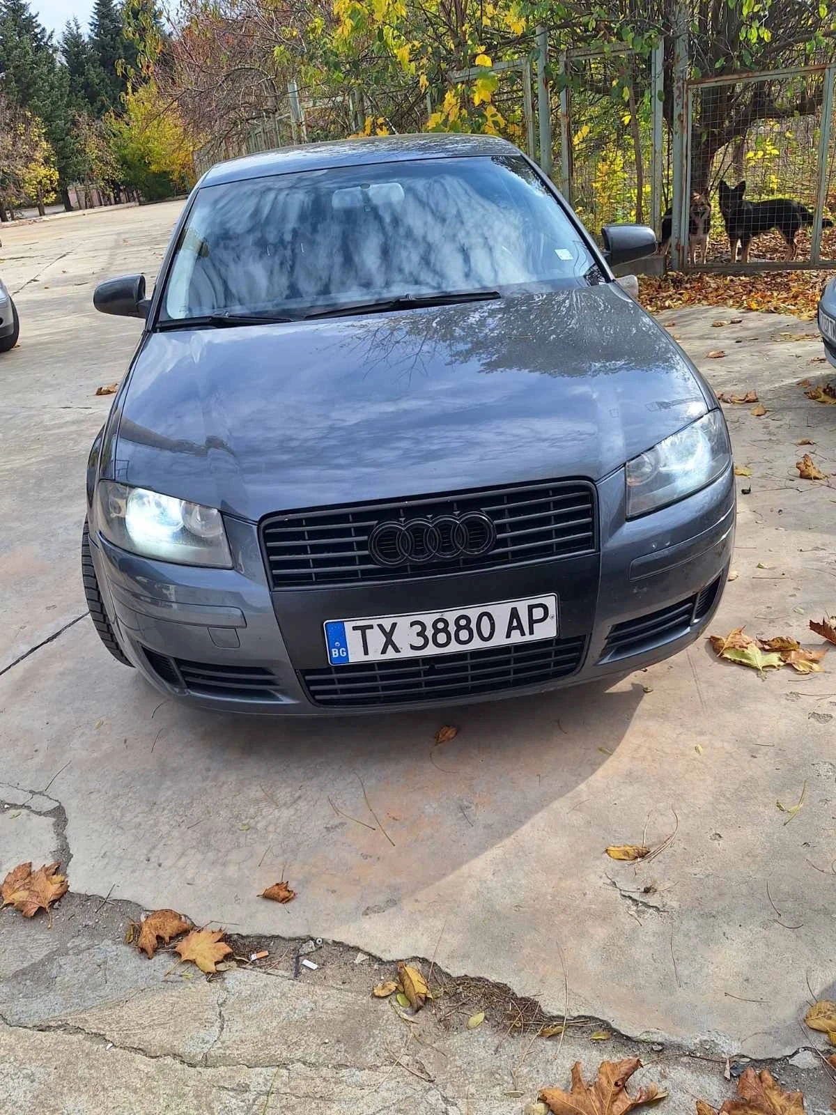 Audi A3, снимка 2 - Автомобили и джипове - 56038635