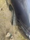 Обява за продажба на Citroen Xsara picasso ГАЗ БЕНЗИН, КОЖЕН САЛОН ~4 690 лв. - изображение 4