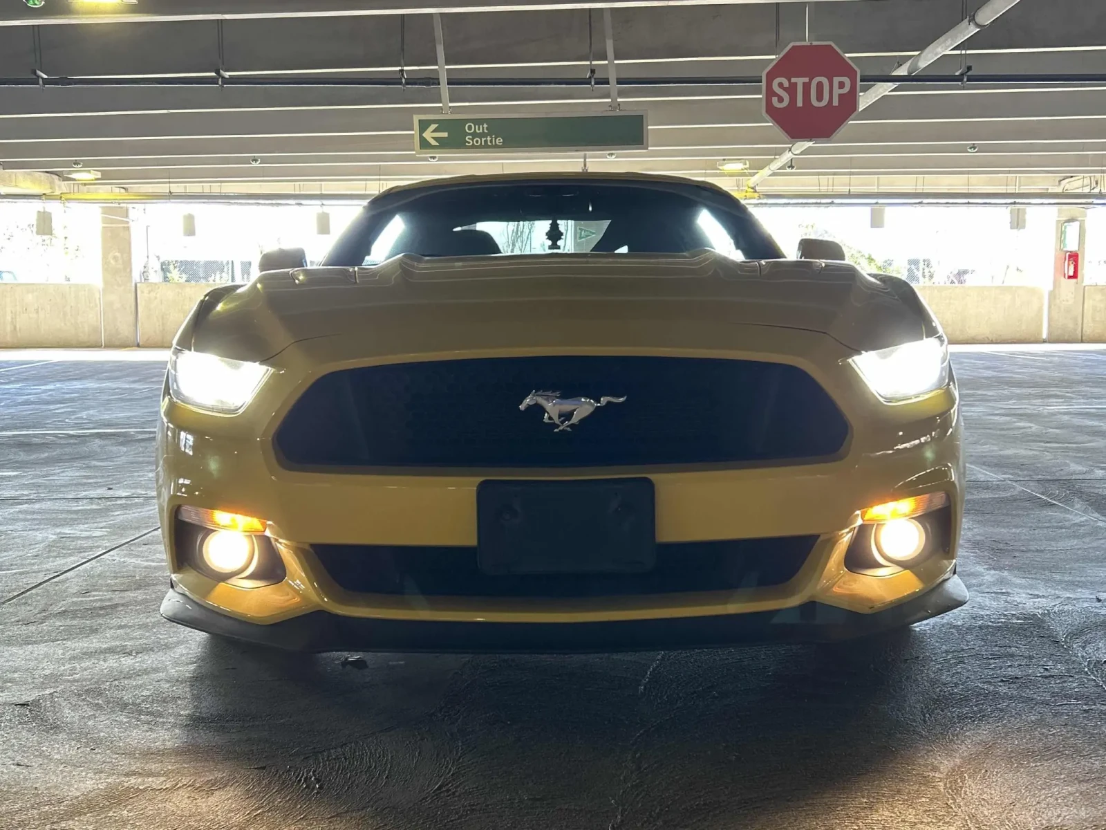 Ford Mustang 5.0 V8 CARFAX  - изображение 6