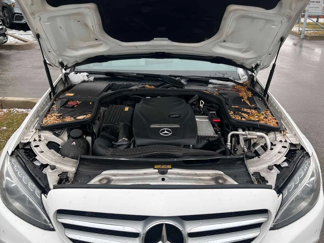 Mercedes-Benz C 300 * CARFAX * ���� �� �� | Mobile.bg � ����������� 12