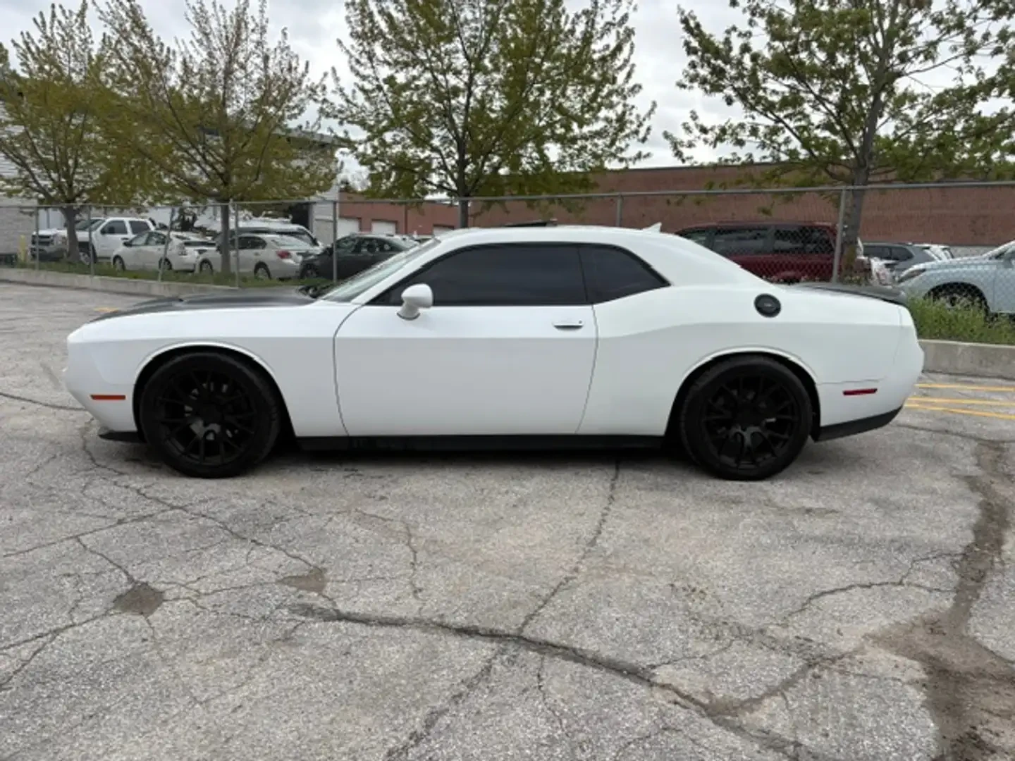 Dodge Challenger SXT * * PREMIUM PACKAGE* *  | Mobile.bg � ����������� 2
