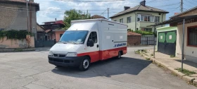 Кемпер Fiat МАГАЗИН МЕСО МЛЕЧНИ ПРОДУКТИ РИБА  | Auto.bg — изображение 12